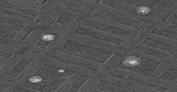 Micrografía SEM con patrón Widmanstätten y brillantes inclusiones de níquel-hierro en la hoja meteórica